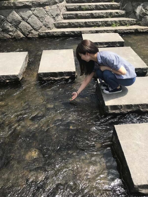 Sapporo: City Center History and Art Walking Tour - Key Points