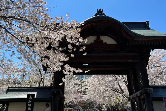 Sapporo City Cherry Blossom Private Sightseeing Tour - Key Points