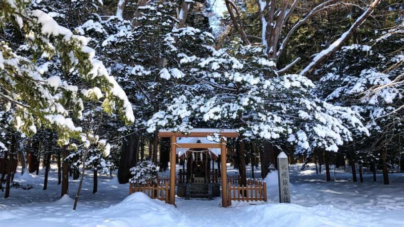 Sapporo: City Highlights & Local Experiences With a Local - Key Points