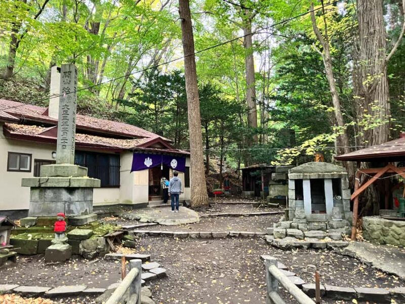 Sapporo: City Highlights & Local Experiences With a Local - Practical Details & What to Expect