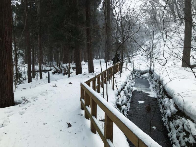 Sapporo: City Highlights & Local Experiences With a Local - The Sum Up: Why This Tour Is a Solid Choice for Curious Travelers