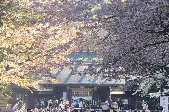sapporo-go-by-private-car-takino-cemetery-hokkaido-shrine-shiroi-koibito-park