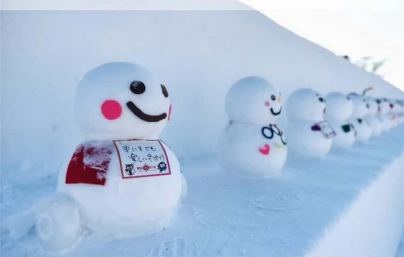 Sapporo: Heiwa-dori Ice Festival Private Day Tour - An In-Depth Look at the Tour Experience