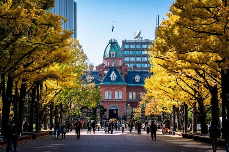 Sapporo Highlights: Art, Nature, and Architecture Tour - Who Will Love This Tour?