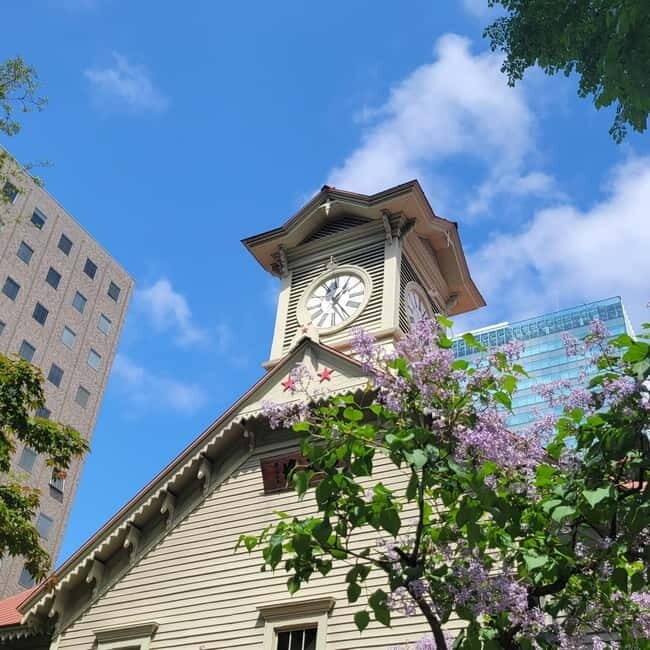 Sapporo Highlights: Golden Route Morning Guided Walking Tour - Value and Practicality