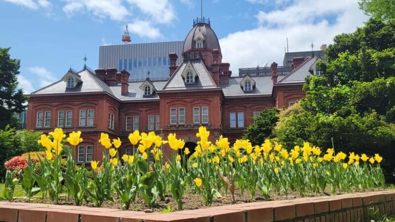 Sapporo Highlights: Golden Route Morning Guided Walking Tour - Who Would Love This Tour?