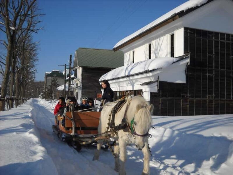 Sapporo: Historical Village of Hokkaido Entry Ticket - Exploring the Hokkaido Historical Village: A Peek Into Japan’s Past