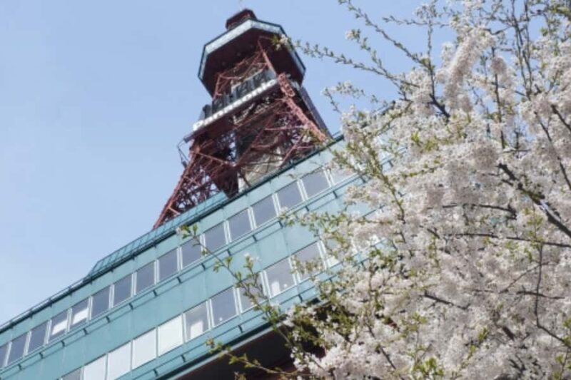 Sapporo History and Gourmet Walking Tour - Key Points