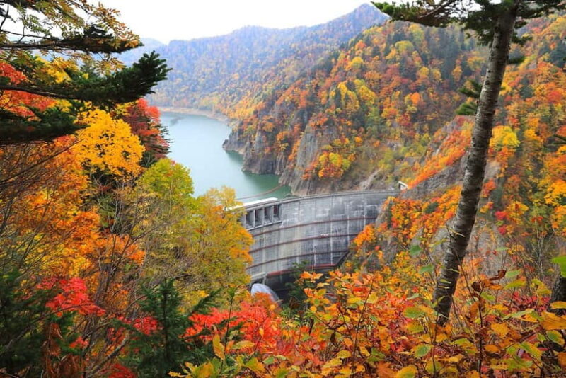 Sapporo in Autumn: Hoheikyo Dam and Hoheikyo Onsen Tour - Key Points