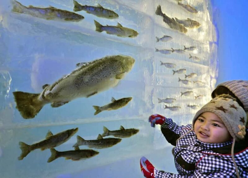 Sapporo: Lake Shikotsu Ice Festival & Hot Spring Day Trip - Key Points