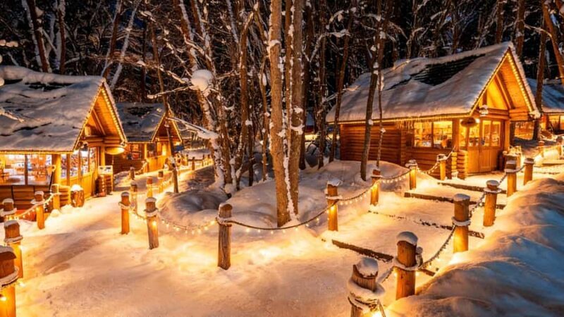 Sapporo Limited: Hokkaido Winter Blue Pond Illumination Tour - Key Points