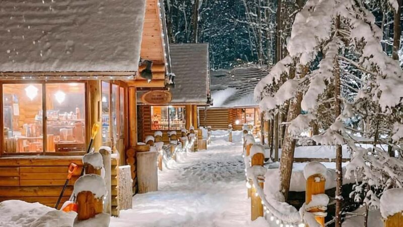 Sapporo Limited: Hokkaido Winter Blue Pond Illumination Tour - Who Should Consider This Tour?