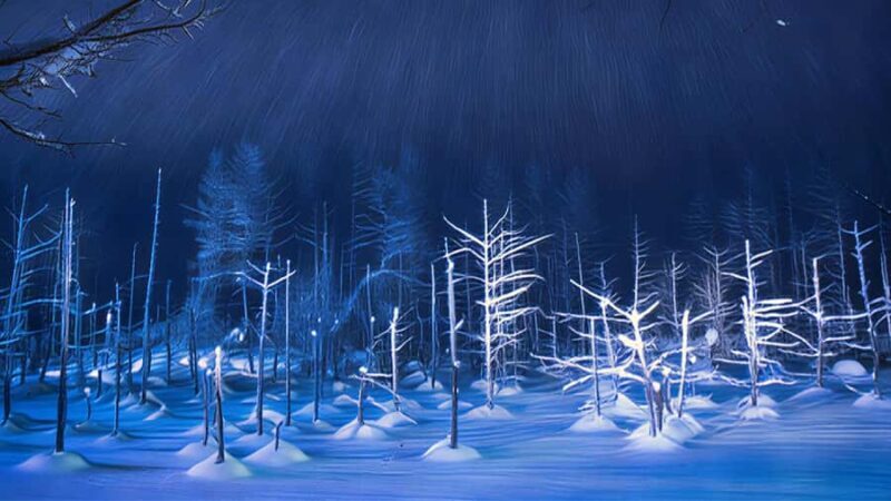 Sapporo Limited: Hokkaido Winter Blue Pond Illumination Tour - Frequently Asked Questions (FAQs)