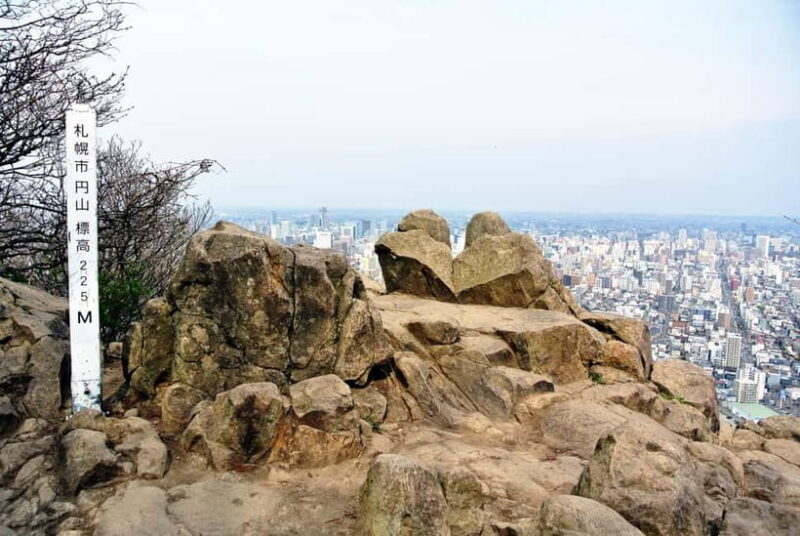 Sapporo: Mt. Maruyama Hike & Okurayama Ski Jump - An In-Depth Look at the Tour Experience