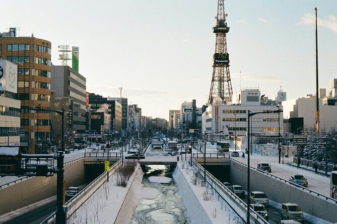 Sapporo  New Chitose Airport Private Transfer | Licensed Driver - Who Should Book This Transfer?