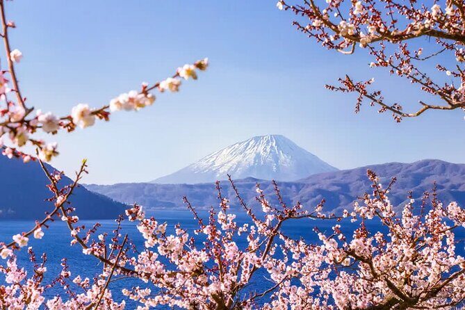 Sapporo Noboribetsu and Otaru Full Day Sightseeing Tour - Who Is This Tour Best For?