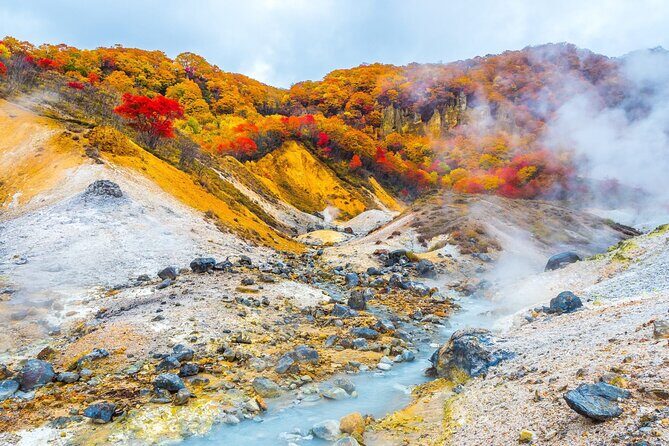 Sapporo: Noboribetsu Hell Valley, Lake Toya & Bear Farm Tour - Introduction: Why This Tour is Worth Considering