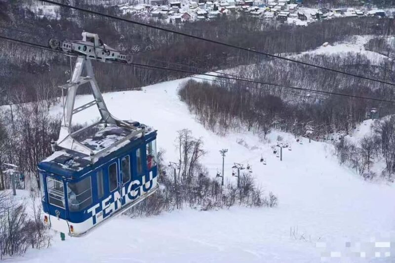 Sapporo: Otaru Day Trip-Mt. Tengu & Aquarium in small group - Key Points