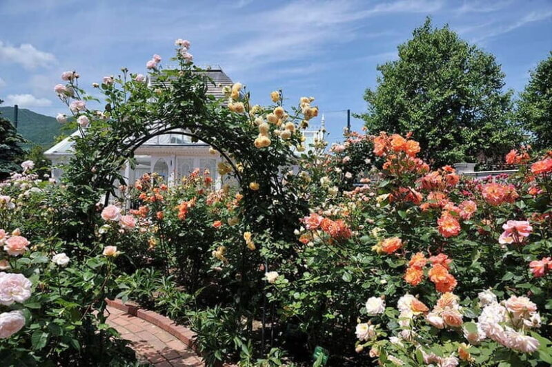 Sapporo: Private Customized Day Tour in Sappro City - Practical Details and Tips