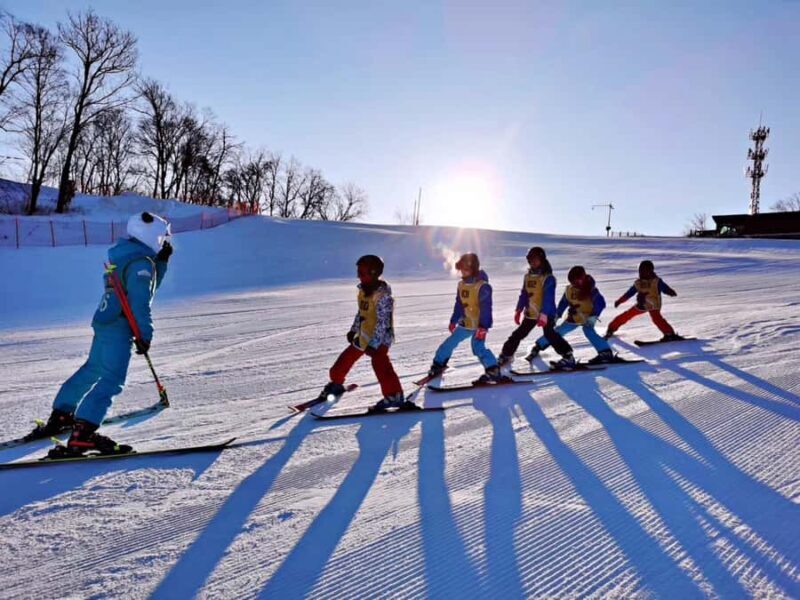 Sapporo: Private Ski & Snowboard Lesson for Small Group - How This Tour Offers Value