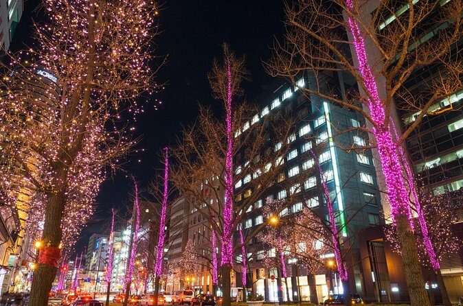 Sapporo Private Walking Christmas Market and Illumination Tour - Final Thoughts