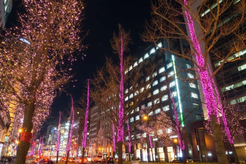 Sapporo Private Walking Christmas Market & Illumination Tour - Key Points