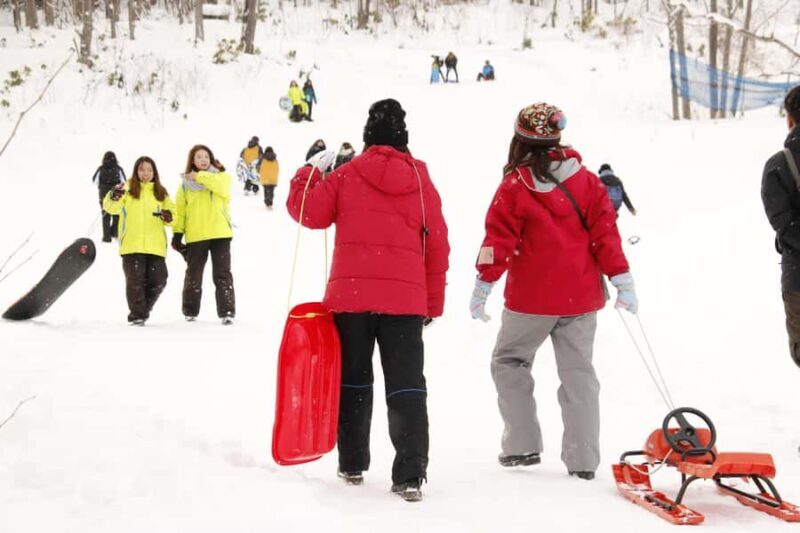 Sapporo: Snow Park, Snowmobile, and BBQ Experience - Key Points