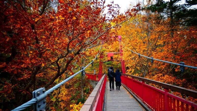 sapporo-the-indigenous-ainu-people-jozankei-walking-tour