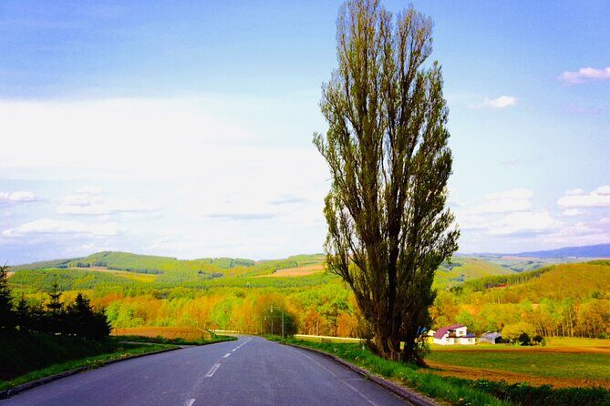 Sapporo to Blue Pond & Shirahige Falls Furano Private Tour - Exploring the Itinerary in Detail