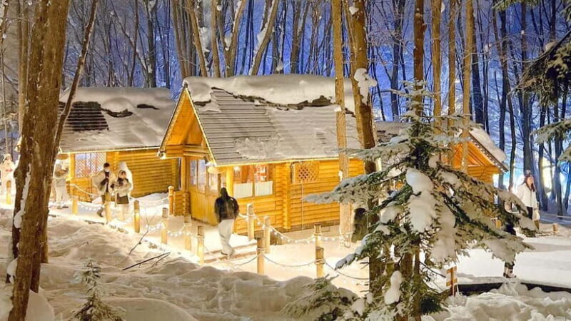 Sapporo Winter : Asahiyama Zoo (Penguin Fun & Snowmobile) - Final Thoughts