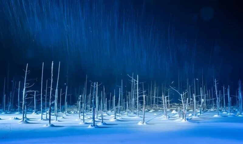 Sapporo:Asahiyama Zoo,Shirahige Waterfall&Blue Pond Day Trip - Key Points