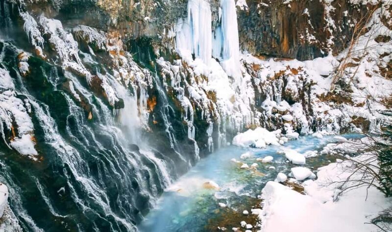 Sapporo:Asahiyama Zoo,Shirahige Waterfall&Blue Pond Day Trip - Practical Tips and Considerations