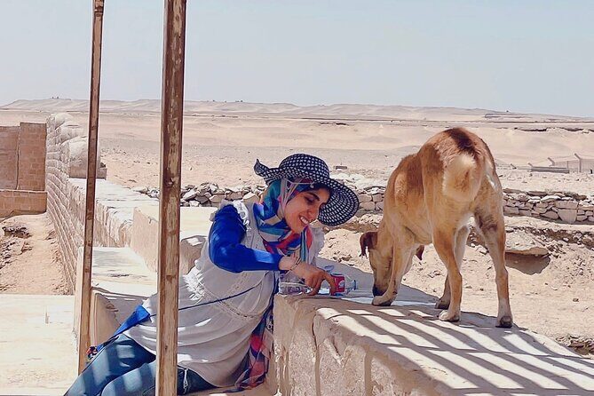 Saqqara, Dahshur - 10%to stray dogs and cats - FAQ