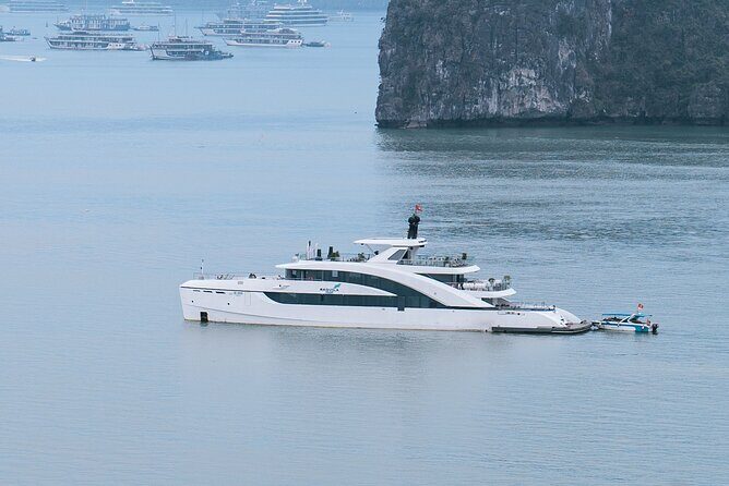 Saquila Cruise Majestic Journey to Halong Bay or Bai Tu Long Bay - Key Points