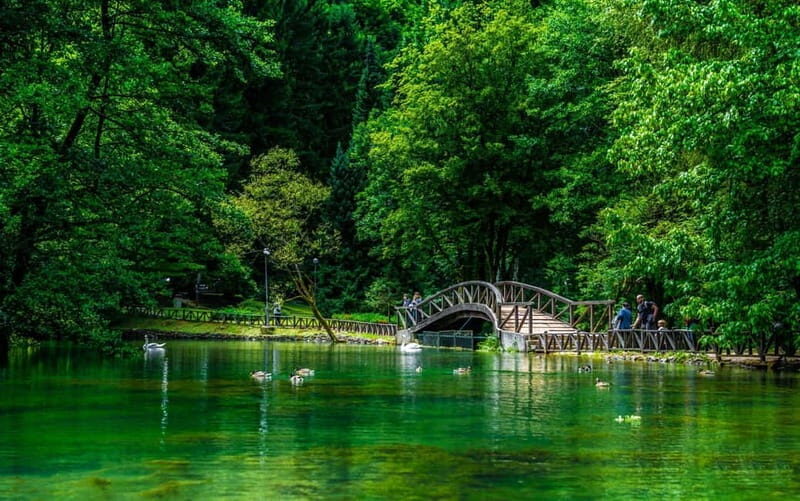 Sarajevo: Vrelo Bosne and Baarija Tour with Lunch - Who Will Love This Tour?