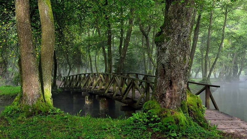 Sarajevo: Vrelo Bosne Nature Park Private Tour - Sarajevo: Vrelo Bosne Nature Park Private Tour
