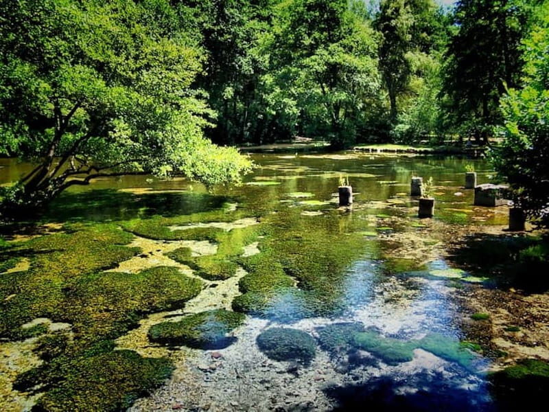 Sarajevo: Vrelo Bosne Nature Park Private Tour - The Sum Up
