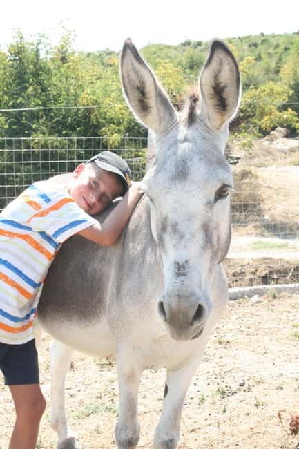 Saranda: Farm Day! Gourmet Lunch, Tour & Cooking Class! - Who Should Consider This Tour?