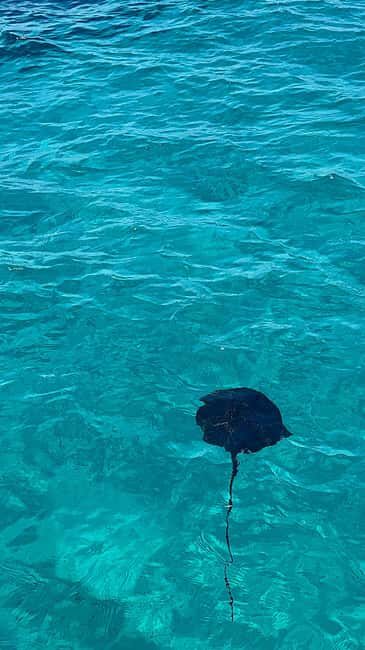 Sarandë: Cruise with Wine, Snorkel at Shipwreck & Swim Stops - The Pros and Cons Based on Real Experiences