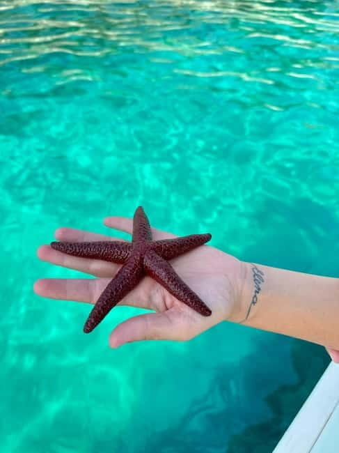 Sarande: Secrets of South Ksamil Hidden Isles & Caslte Ruins - The Experience: A Closer Look