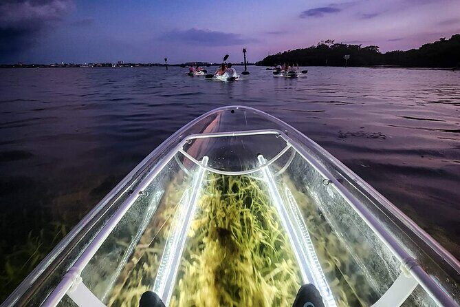 Sarasota - Clear Kayak LED Night Glass Bottom Tour - Who Will Love This Tour?