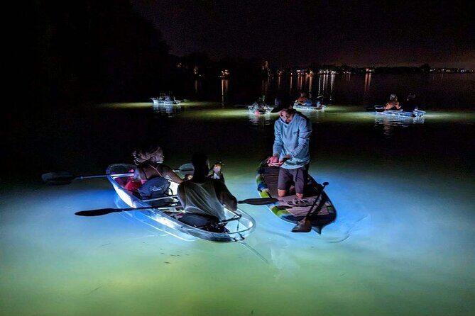 Sarasota - Clear Kayak LED Night Glass Bottom Tour - Frequently Asked Questions