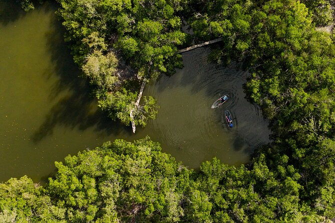 sarasota-clear-kayak-tour