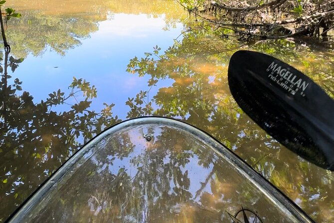 sarasota-clear-kayak-tour
