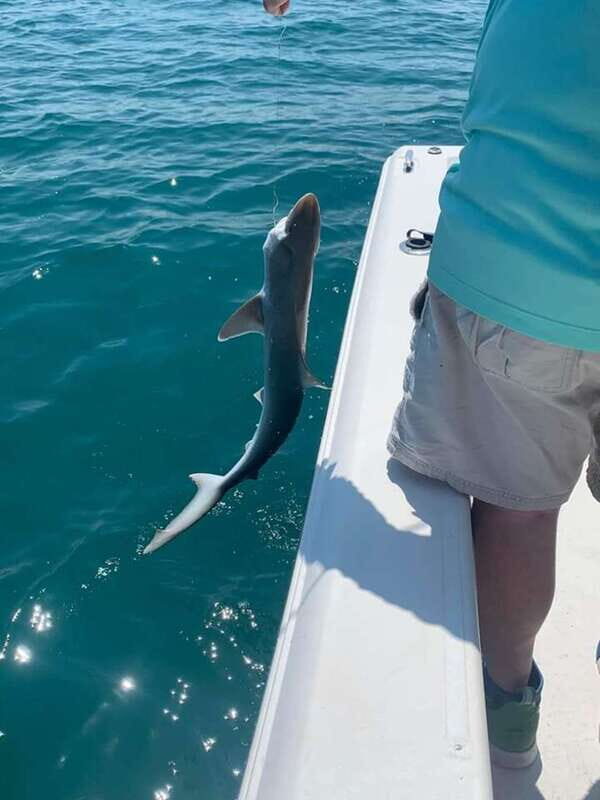 Sarasota Florida: Skyway Fishing Tours - Engaging Meta Description