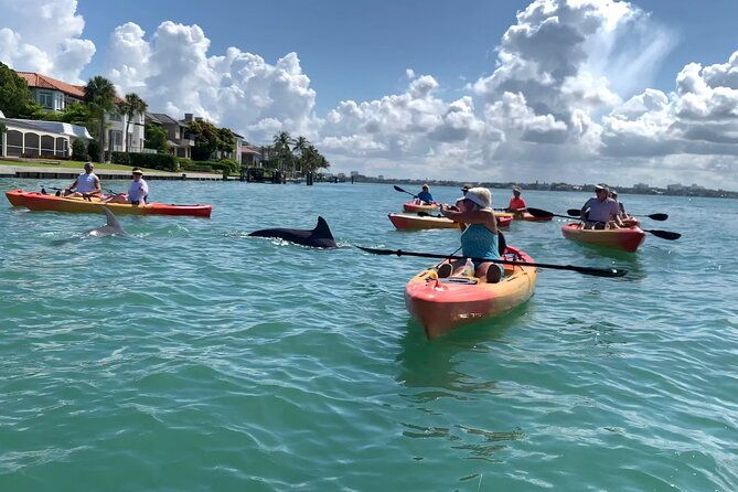 sarasota-mangrove-tunnel-guided-kayak-adventure