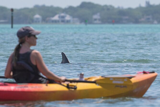 sarasota-mangrove-tunnel-guided-kayak-adventure