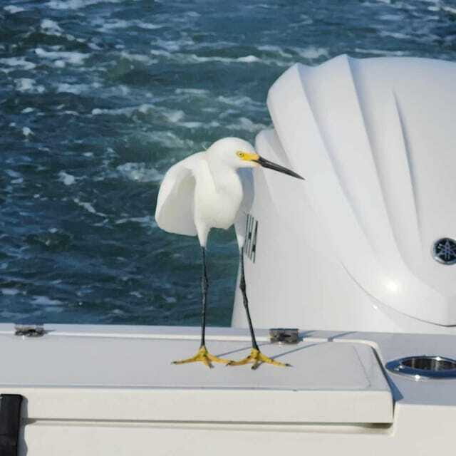 Sarasota Sunset Charter - Authentic Guest Experiences