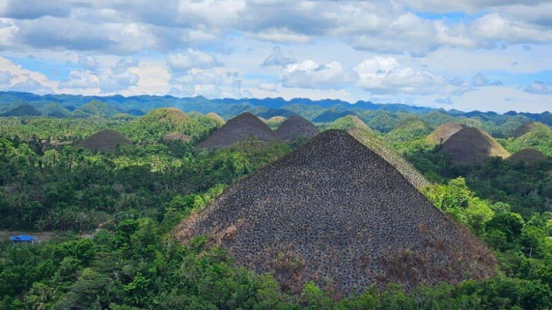 sardines-chocolate-hills-tarsiers-atvfloating-restaurant