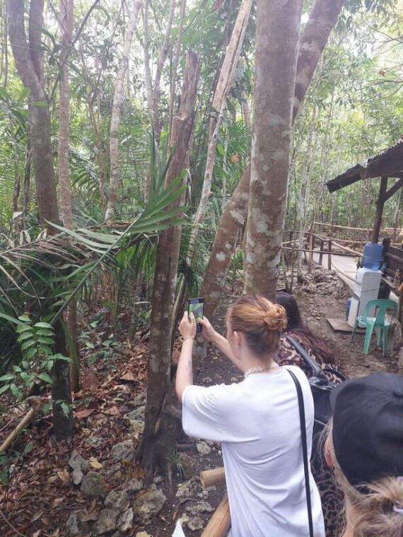 sardines-chocolate-hills-tarsiers-atvfloating-restaurant
